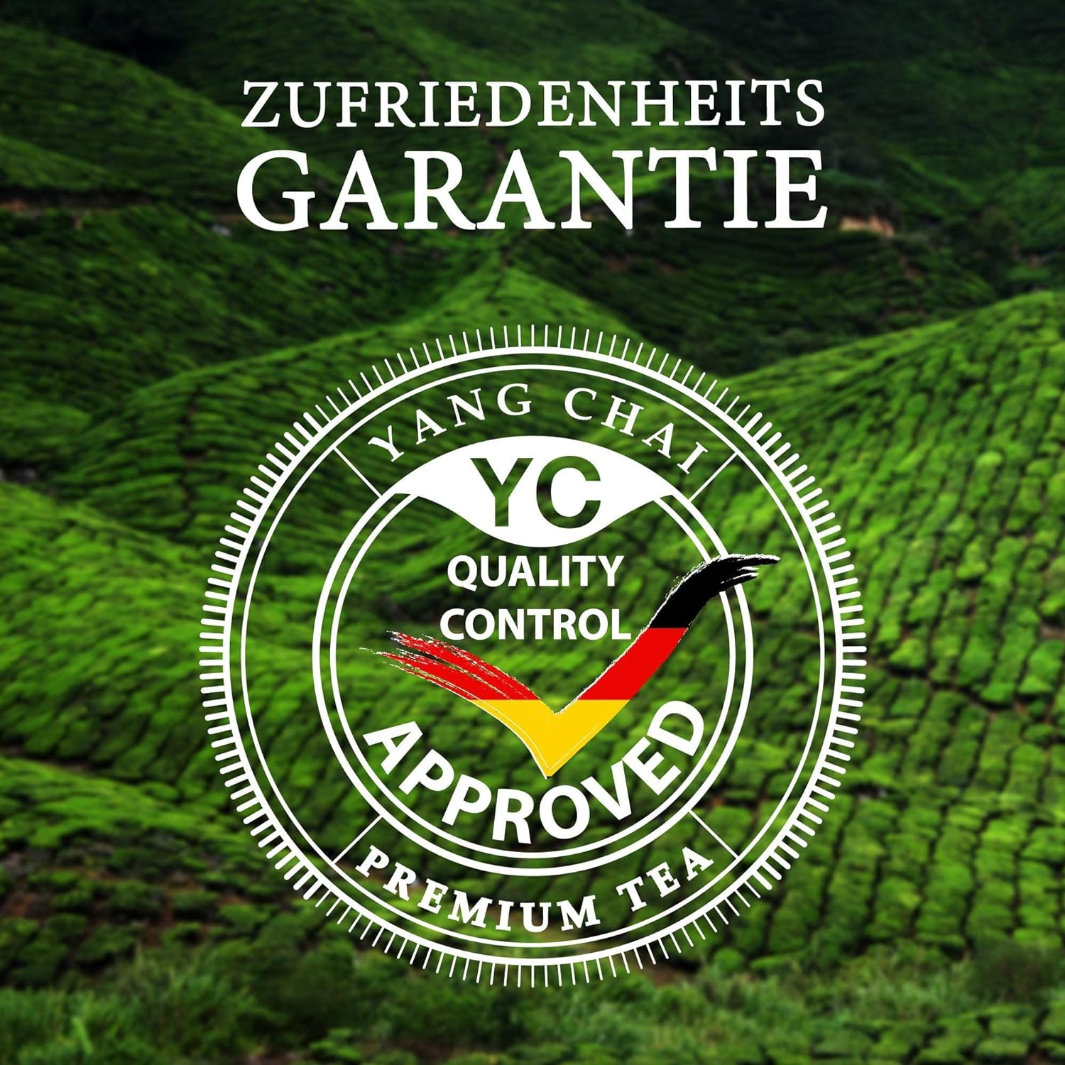 YC Yang Chai Japanischer Sencha Grüner Tee mit Mango Maracuja Geschmack "Sencha Twist" 200g